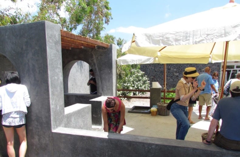tourists crushing grapes by stepping barefoot on the grapes inside vats at 'Koutsoyannopoulos winery'